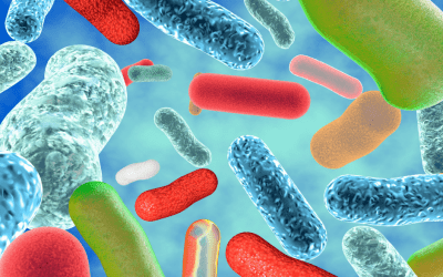 למה יש חיידקים “טובים” ו”רעים” ומה משפיע על השגשוג שלהם?